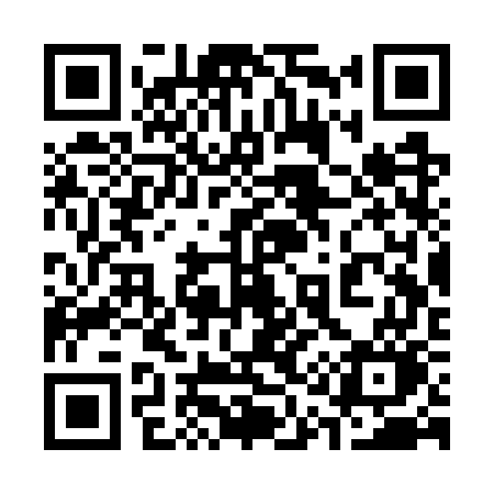 QR code for 313WWO