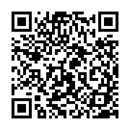 QR code for 313ZTI