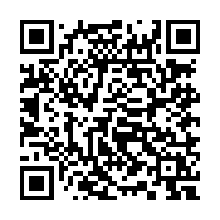 QR code for 315LMX