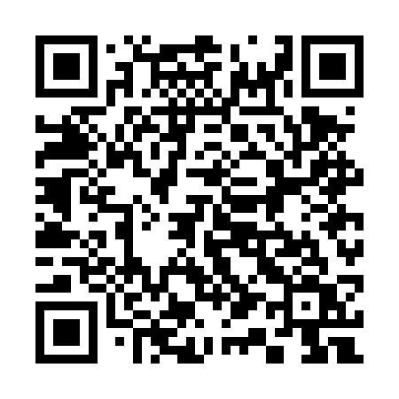 QR code for 317DSV