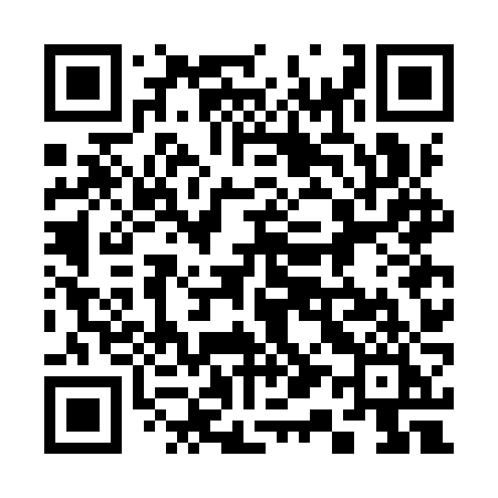 QR code for 317IZI