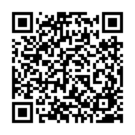 QR code for 325BUG