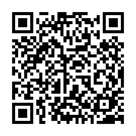 QR code for 325PPM