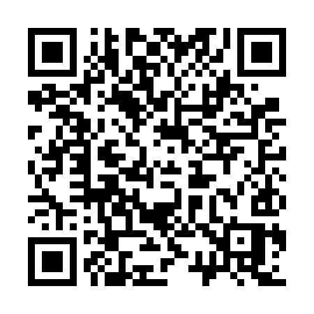 QR code for 331FIS