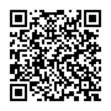 QR code for 333DDM