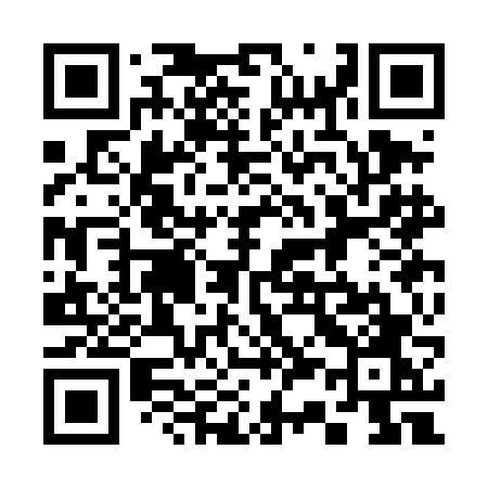 QR code for 333DFO