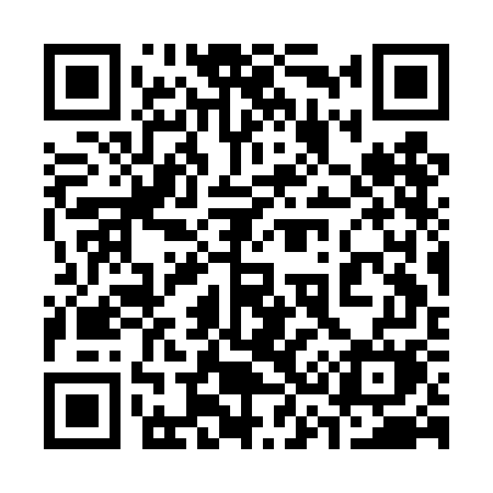QR code for 333DGM