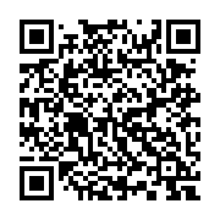 QR code for 333DIF