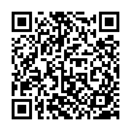 QR code for 333EUO