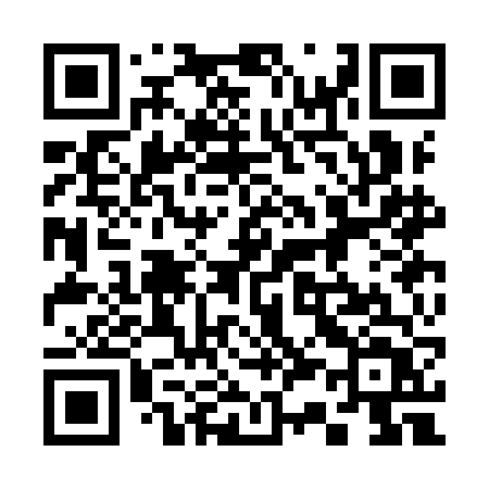 QR code for 333IFT