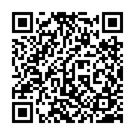 QR code for 333SAR