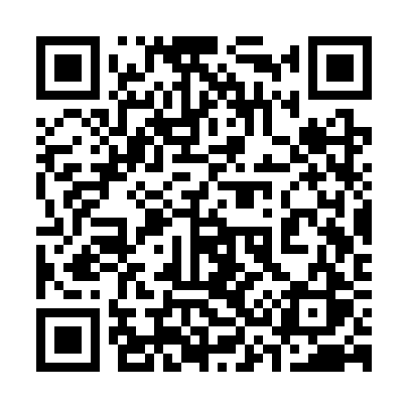 QR code for 333SRS