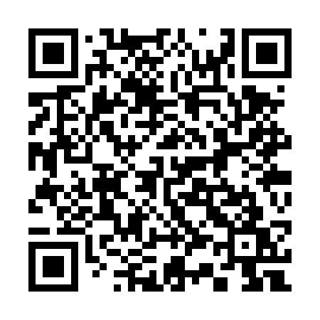 QR code for 333TSW