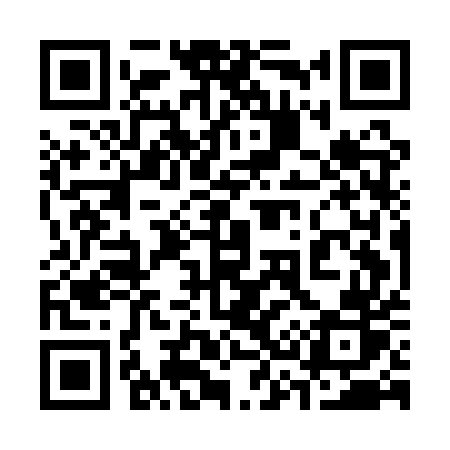 QR code for 335AUR