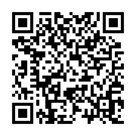 QR code for 335BQN
