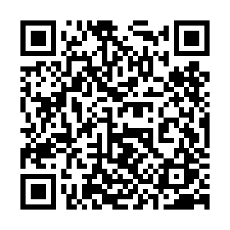 QR code for 335DJS