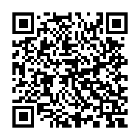 QR code for 335DXS
