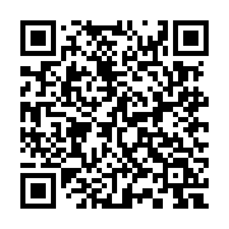 QR code for 335MFL