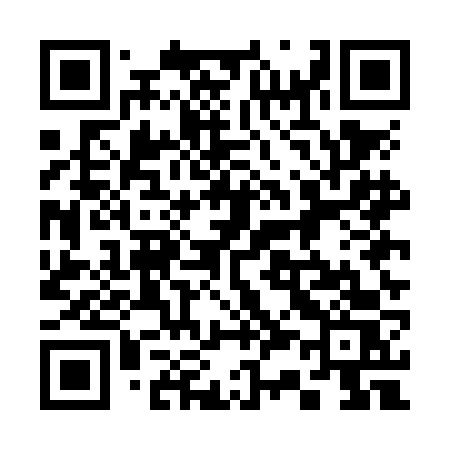 QR code for 335NFS