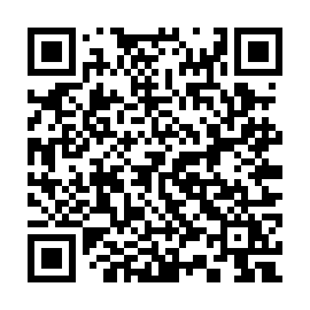 QR code for 335POY