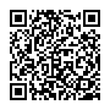 QR code for 335QQX