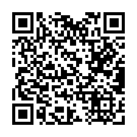 QR code for 335SKK