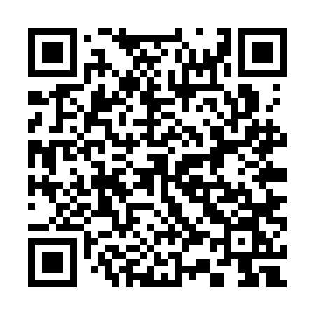QR code for 335SLN