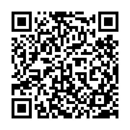 QR code for 335TIL