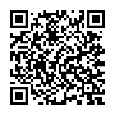 QR code for 335TNG