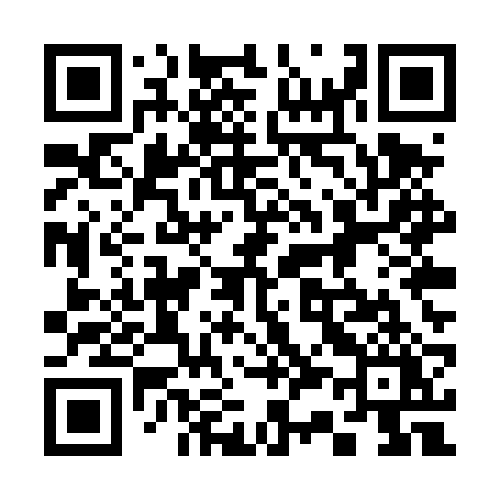 QR code for 335TRY