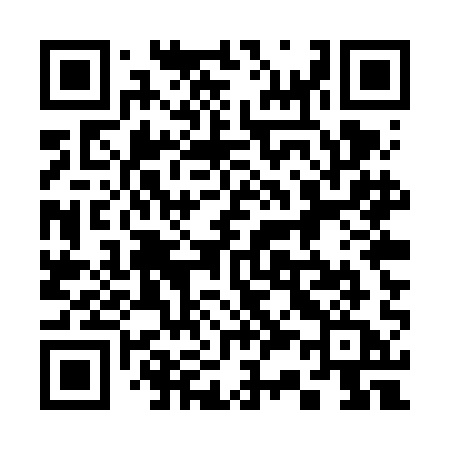 QR code for 335VAA