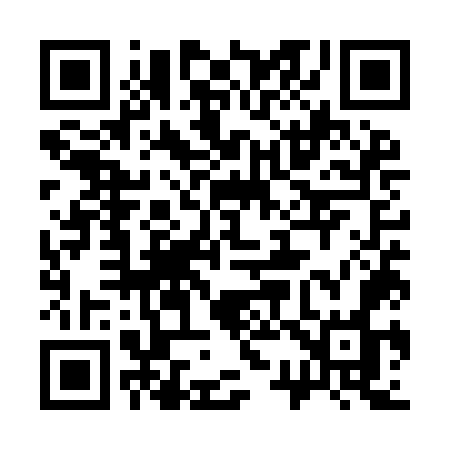 QR code for 335YOO