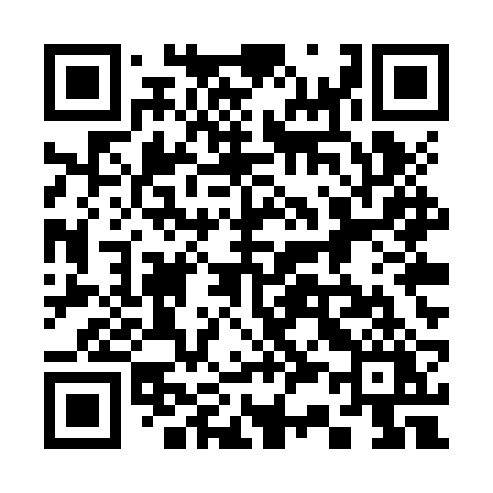 QR code for 335ZRY