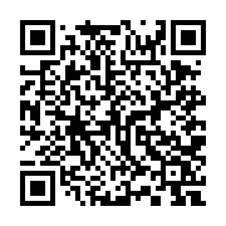 QR code for 336DLV