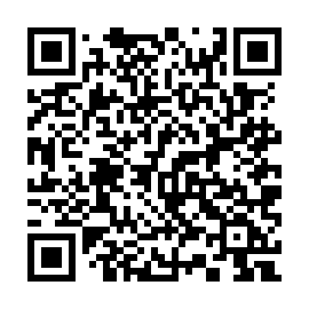 QR code for 336OMF