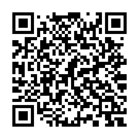 QR code for 336PRL