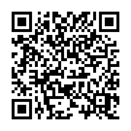QR code for 336PYT