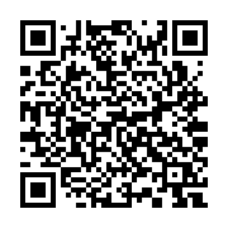 QR code for 336SUR