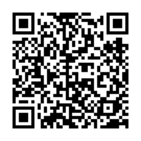 QR code for 336VEI
