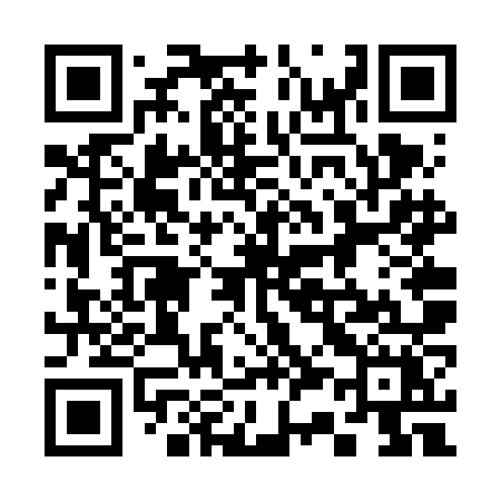 QR code for 336VNX
