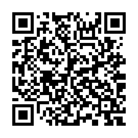 QR code for 336WIV