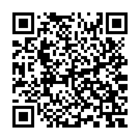 QR code for 336ZVO