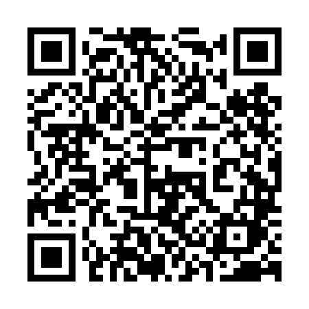 QR code for 338DLM