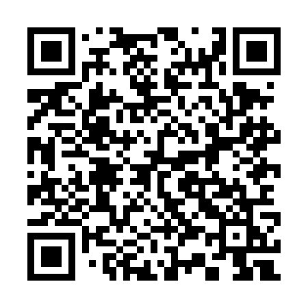 QR code for 338DOK