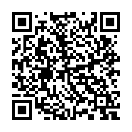QR code for 338FSY