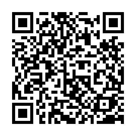 QR code for 338LOI