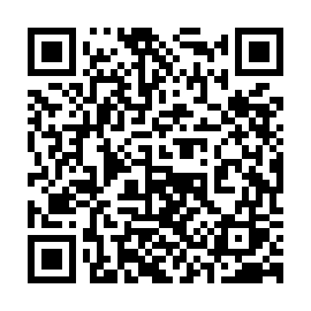 QR code for 338MGS