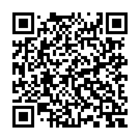 QR code for 338MIF