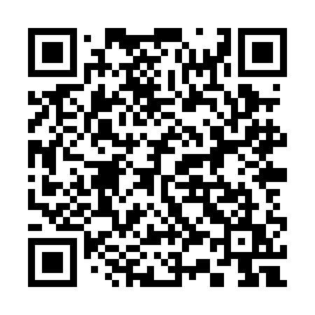 QR code for 338PAU