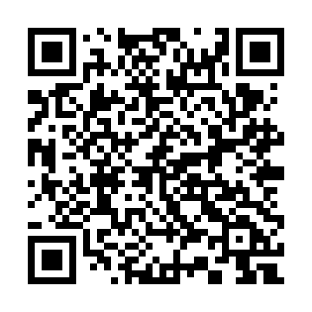 QR code for 338VDD